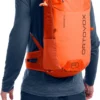 ORTOVOX Rucksack TRAVERSE 20
