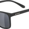 ALPINA Herren Brille YEFE