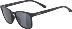 ALPINA Herren Brille YEFE