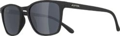 ALPINA Herren Brille YEFE -McKinley Geschaft A8647 331 BILD04 20211117