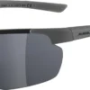 ALPINA Herren Brille DEFEY HR