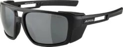 Herren Brille ALPINA SKYWALSH