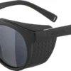 ALPINA Herren Brille GLACE