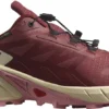 SALOMON Damen Trailrunningschuhe SHOES SUPERCROSS 4 GTX W Cohide/Syrah/Bl