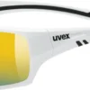 Uvex Sportstyle 222 Pola Brille