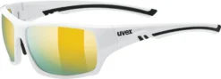 Uvex Sportstyle 222 Pola Brille